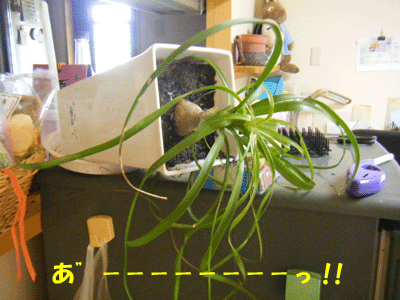 f0008935_10105090.gif