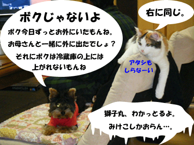f0008935_1011974.gif