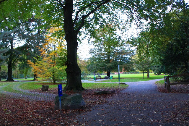 c0153740_382827.jpg