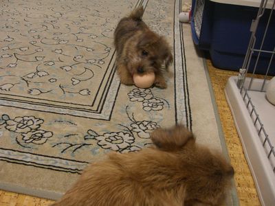 c0211540_9245281.jpg