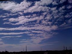 b0189343_15561825.jpg