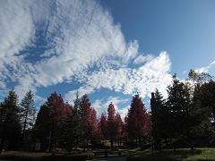 b0189343_16115796.jpg