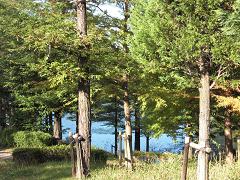 b0189343_16163915.jpg