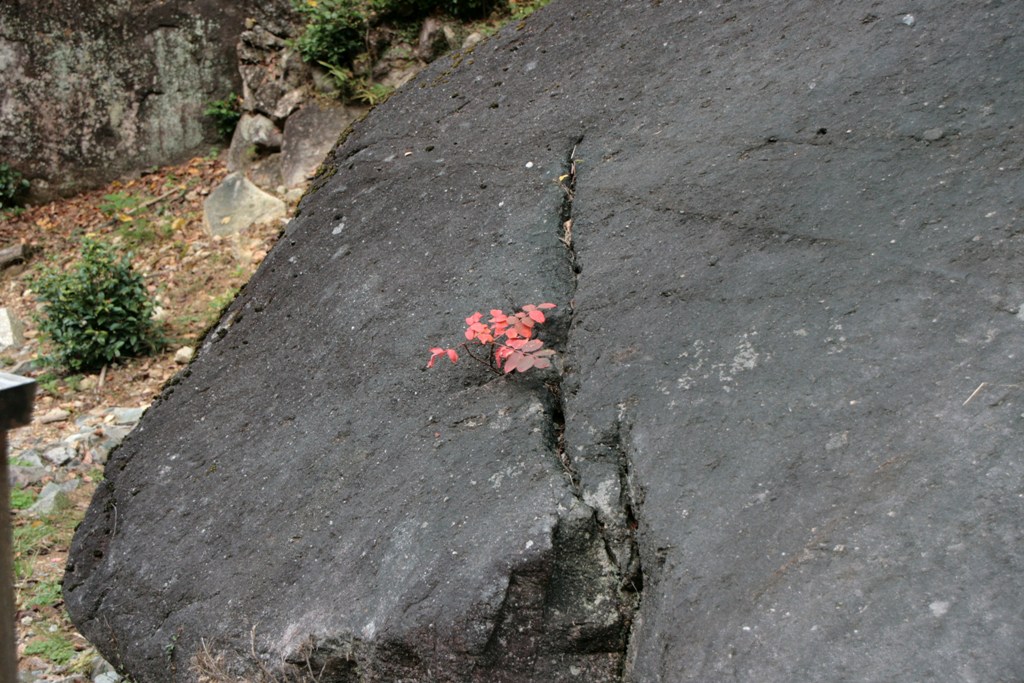 a0104448_15321085.jpg