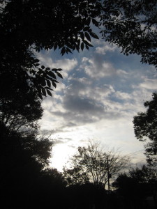 e0121548_20443636.jpg