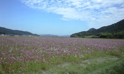 f0198950_20562391.jpg