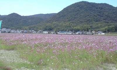 f0198950_20564686.jpg