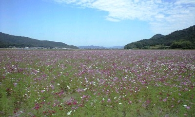 f0198950_20571851.jpg