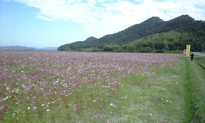 f0198950_205759.jpg