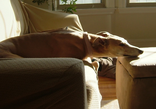 c0078451_612891.jpg