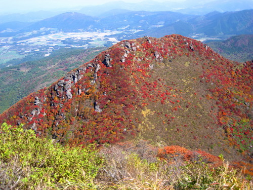 c0179351_10575363.jpg
