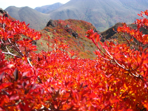 c0179351_10593196.jpg