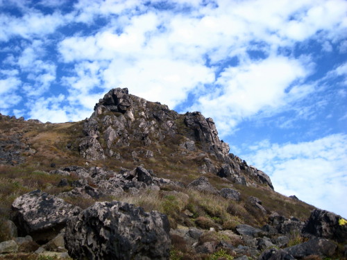c0179351_1113563.jpg