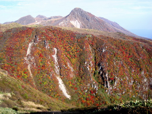 c0179351_11135964.jpg