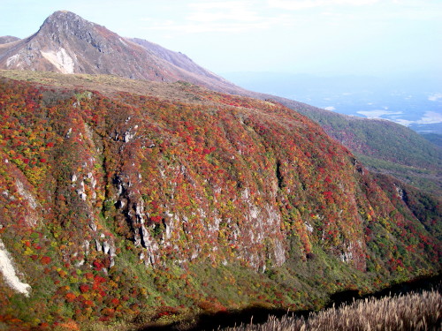 c0179351_11143012.jpg