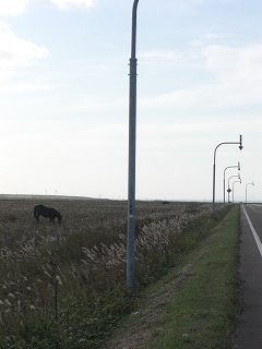 f0009451_22591286.jpg