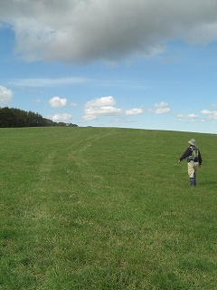 f0009451_226884.jpg