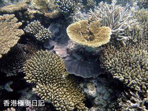 f0190653_9105085.jpg