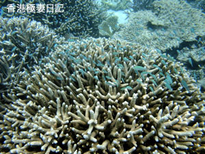 f0190653_911261.jpg