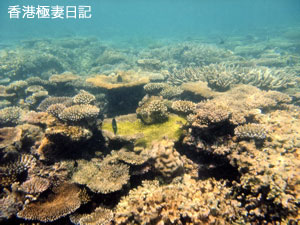f0190653_9121495.jpg