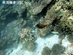 f0190653_912231.jpg