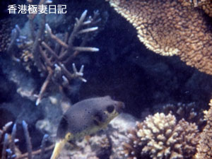 f0190653_9122413.jpg