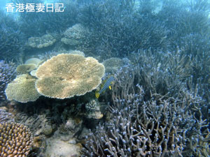 f0190653_9123697.jpg