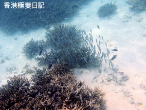 f0190653_913080.jpg