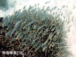 f0190653_9131530.jpg
