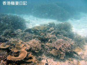 f0190653_913276.jpg