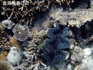 f0190653_9133952.gif