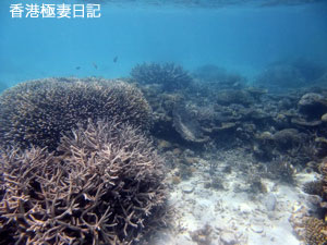 f0190653_9135211.jpg