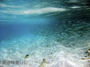 f0190653_9141310.jpg