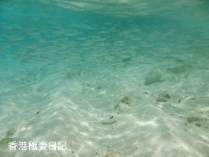 f0190653_914222.jpg