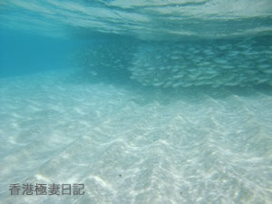 f0190653_9142796.jpg