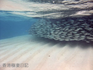 f0190653_9144050.jpg