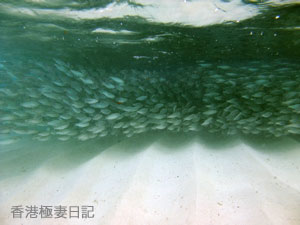 f0190653_9145220.jpg