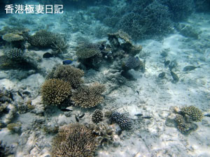f0190653_9154594.jpg