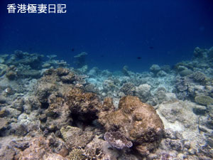 f0190653_9155733.jpg