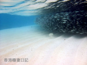 f0190653_915793.jpg