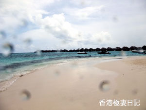 f0190653_9161074.jpg