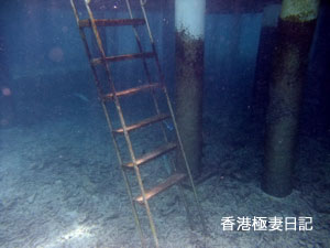 f0190653_9162523.jpg