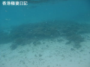 f0190653_93204.jpg
