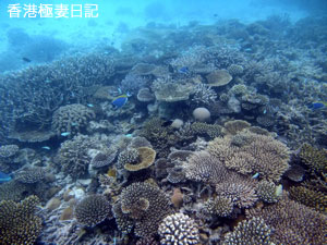 f0190653_933027.jpg
