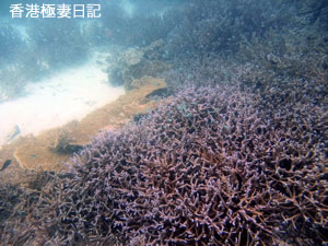f0190653_95372.jpg