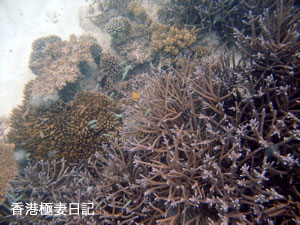 f0190653_954857.jpg