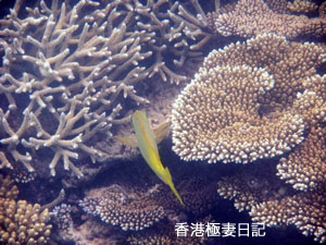 f0190653_955879.jpg