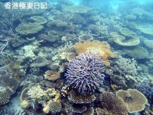f0190653_962079.jpg