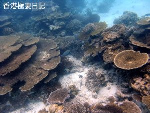 f0190653_963180.jpg