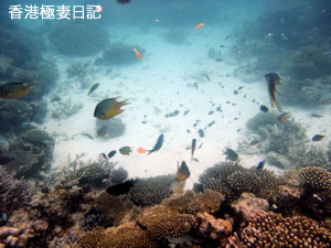 f0190653_971341.jpg